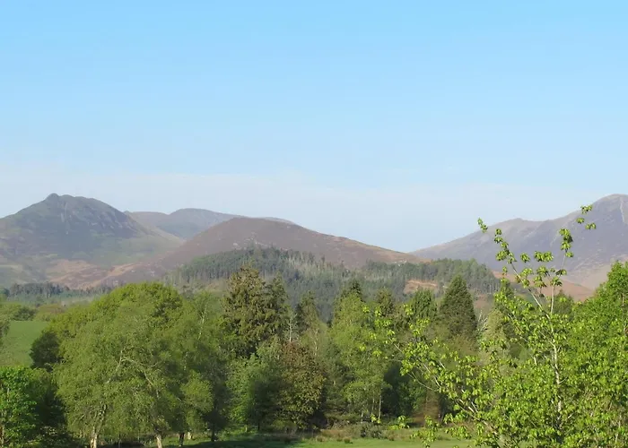 Road House Affittacamere 4*